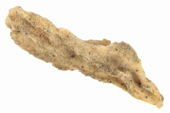 Fulgurite - Petrified Lightning #268494